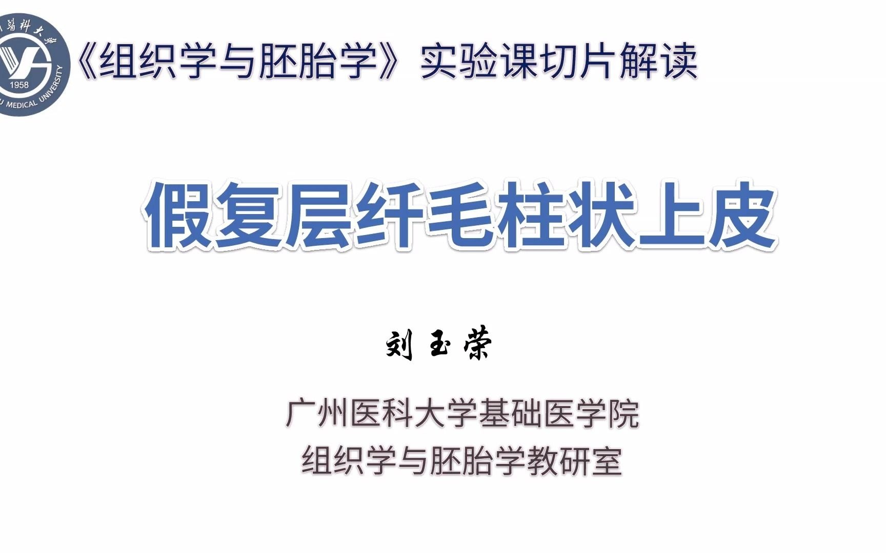 《组织学与胚胎学》实验课讲解视频—上皮组织—假复层纤毛柱状上皮哔哩哔哩bilibili