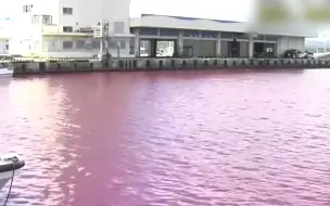 Descargar video: 日本一酒厂冷却水泄漏 致周边海水被染红