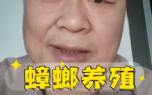 Download Video: 养蟑螂还能致富，变废为宝三月20个