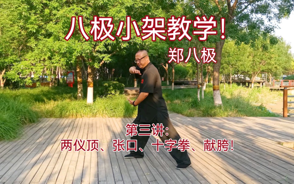 活动  八极拳小架教学!第三讲:两仪顶,张口,十字拳,献胯!