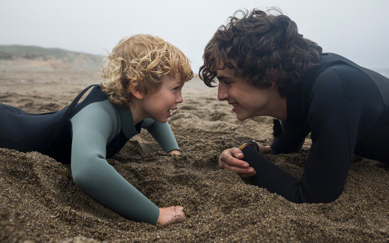  漂亮男孩>新片段4则 beautiful boy clip - timothée chalamet