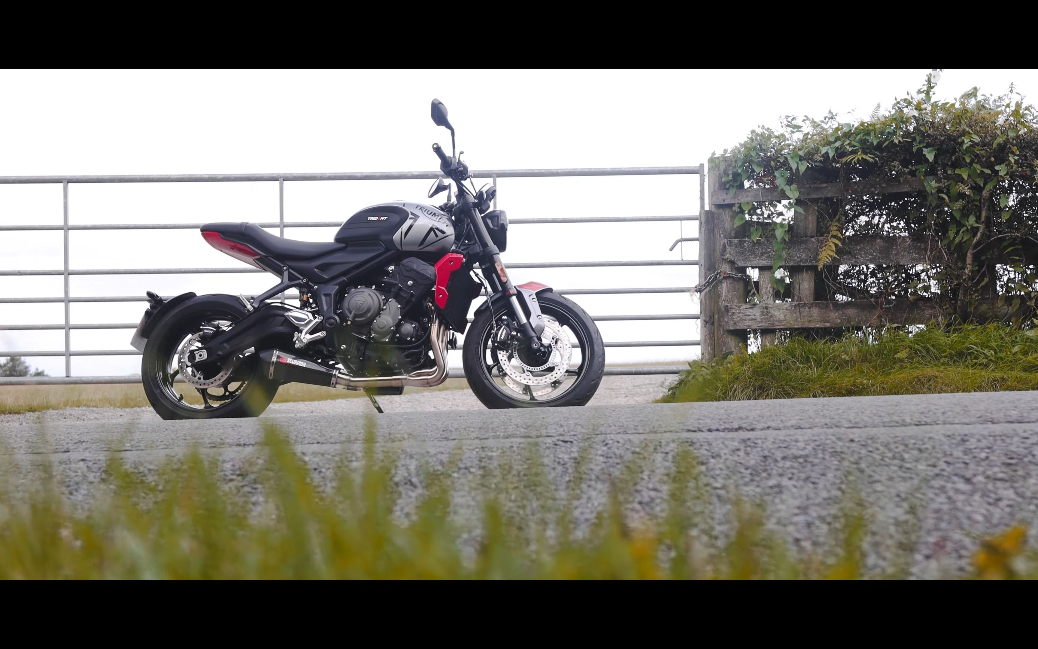 凯旋 trident 660 scorpion 英蝎排气