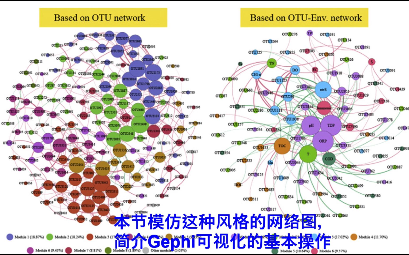 gephi生成社交网络图图片