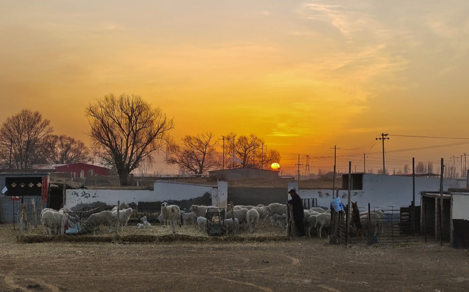 平静安稳的幸福