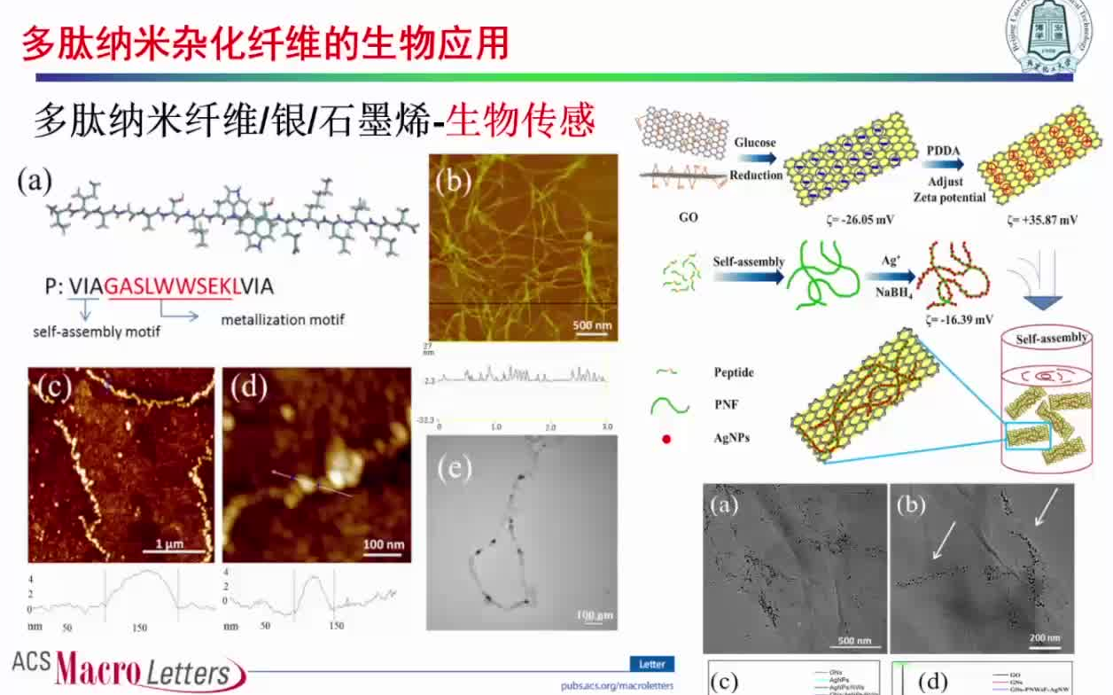 20220323北京化工大学苏志强功能性生物纳米杂化纤维的结构设计及应用研究哔哩哔哩bilibili