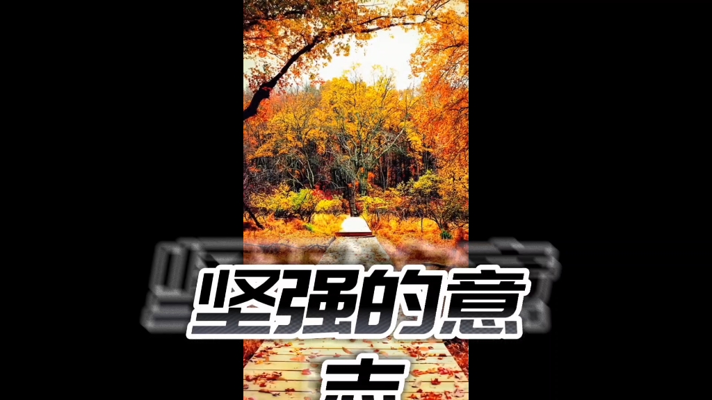 女性日记哔哩哔哩bilibili