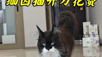 这是蝙蝠侠生病开刀的花费明细，我要是被坑了你就吱一声😄