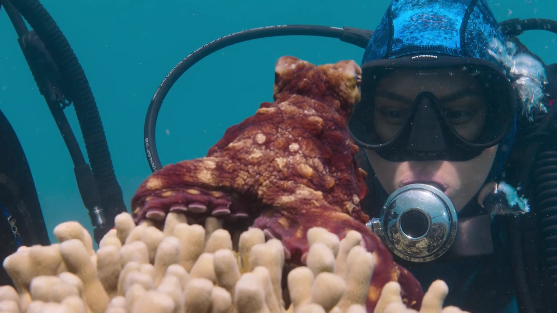 蓝色潜水服女蛙人 海洋博士潜水 scuba diving