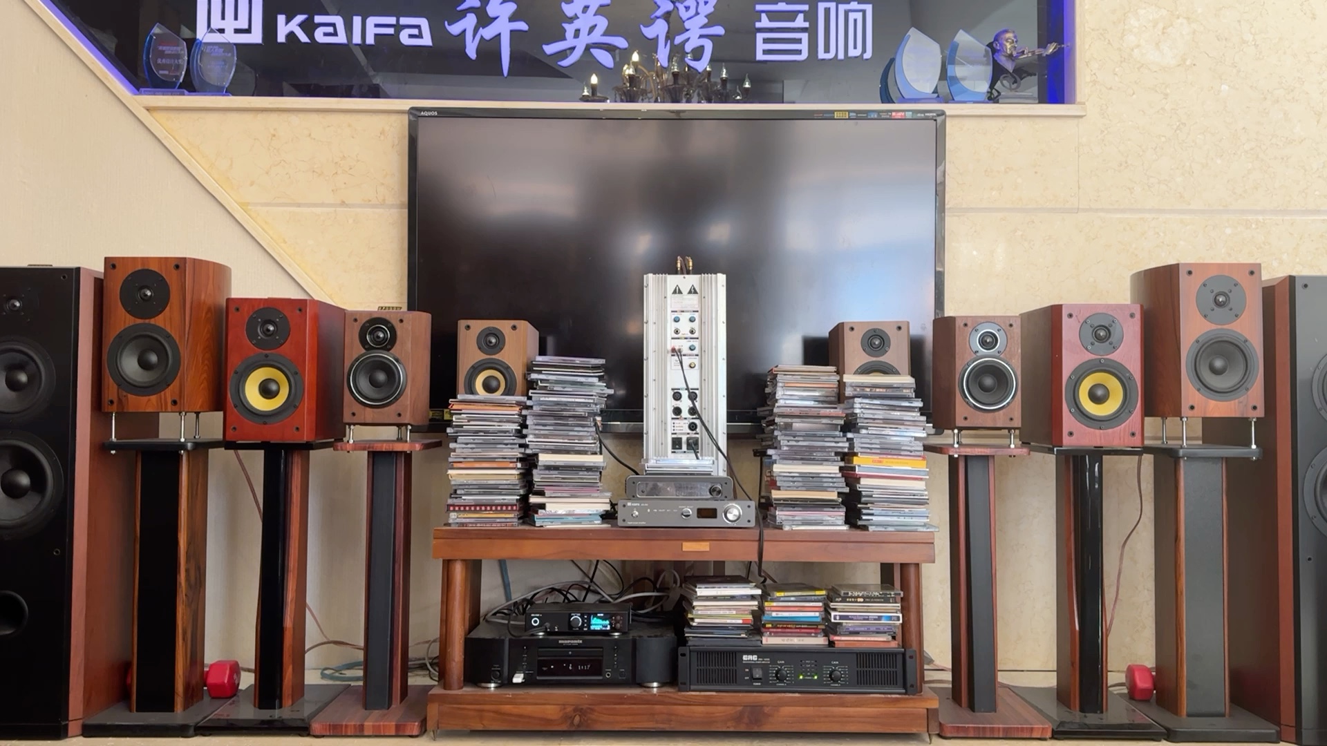 我的未来不是梦张玮伽好听质感cac8631