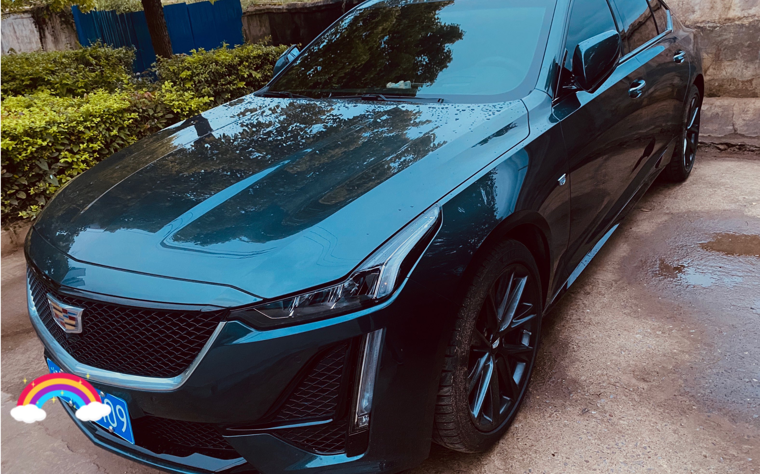 凯迪拉克ct5铂金镀晶4个月效果