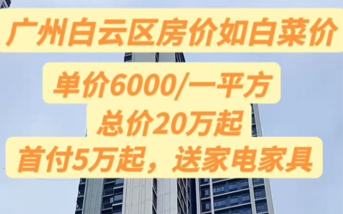 广州白云区房价如白菜价,单价6000/一平方,总价20万起,1房,总价25万,2房,首付5万起,送家电家具,不限购,拎包入住哔哩哔哩bilibili