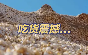 Download Video: 千年嗦嗦史！古人吃剩的螺蛳壳堆成一座山