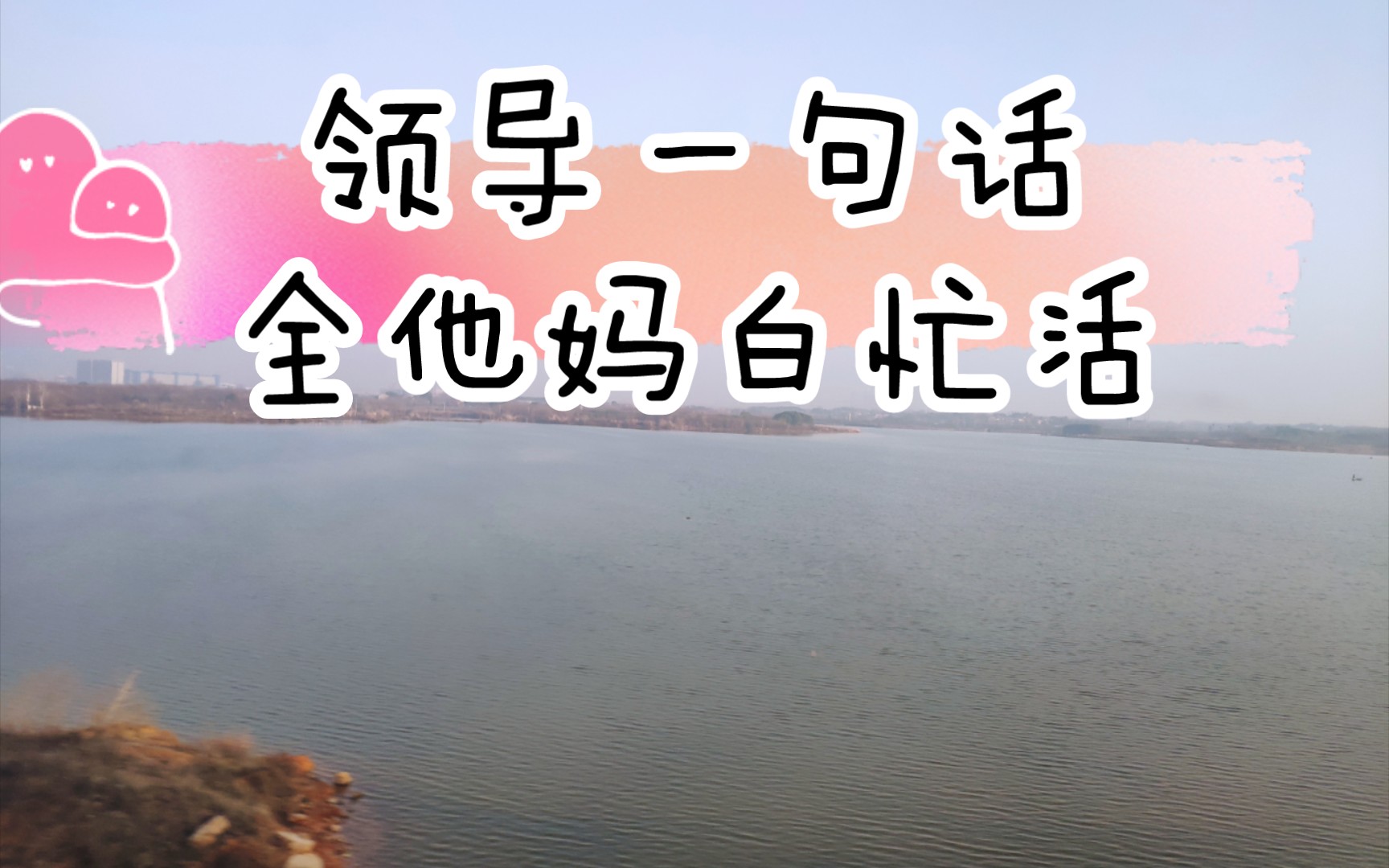 领导一句话,全他妈白忙活