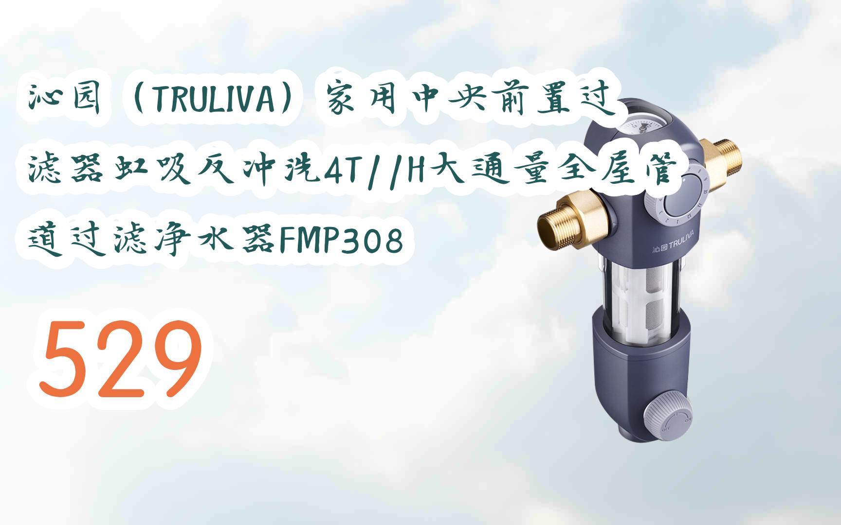 沁園(truliva)家用中央前置過濾器虹吸反衝洗4t//h大通量全屋管道過濾