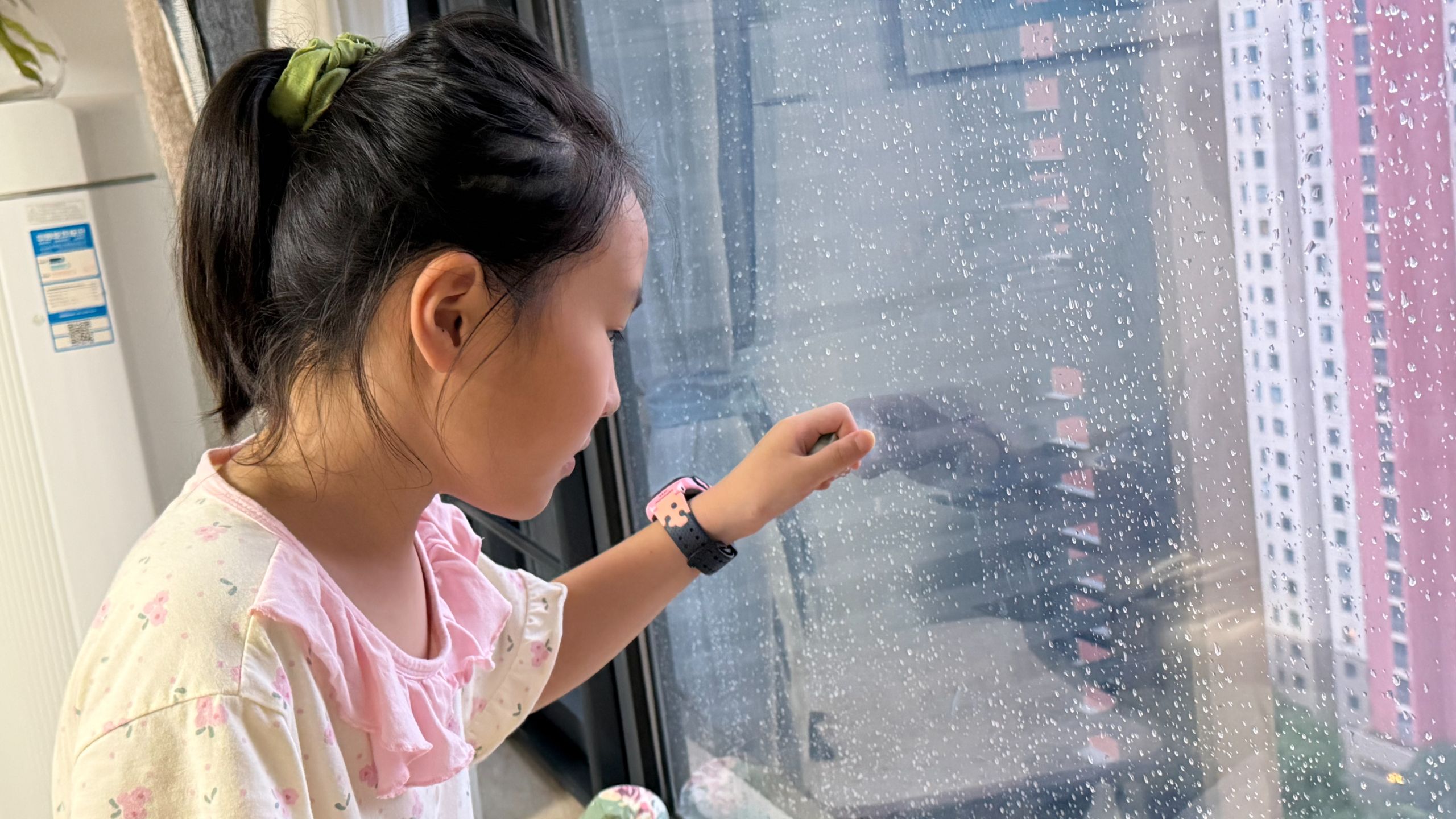 江浙沪低估了白海豚的威力，眼看着户外游乐场瞬间变池塘