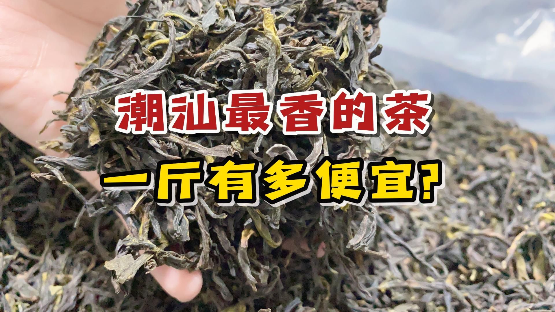 整个潮汕最香的茶,一斤有多便宜呢?当地茶老板道出价格内幕哔哩哔哩bilibili