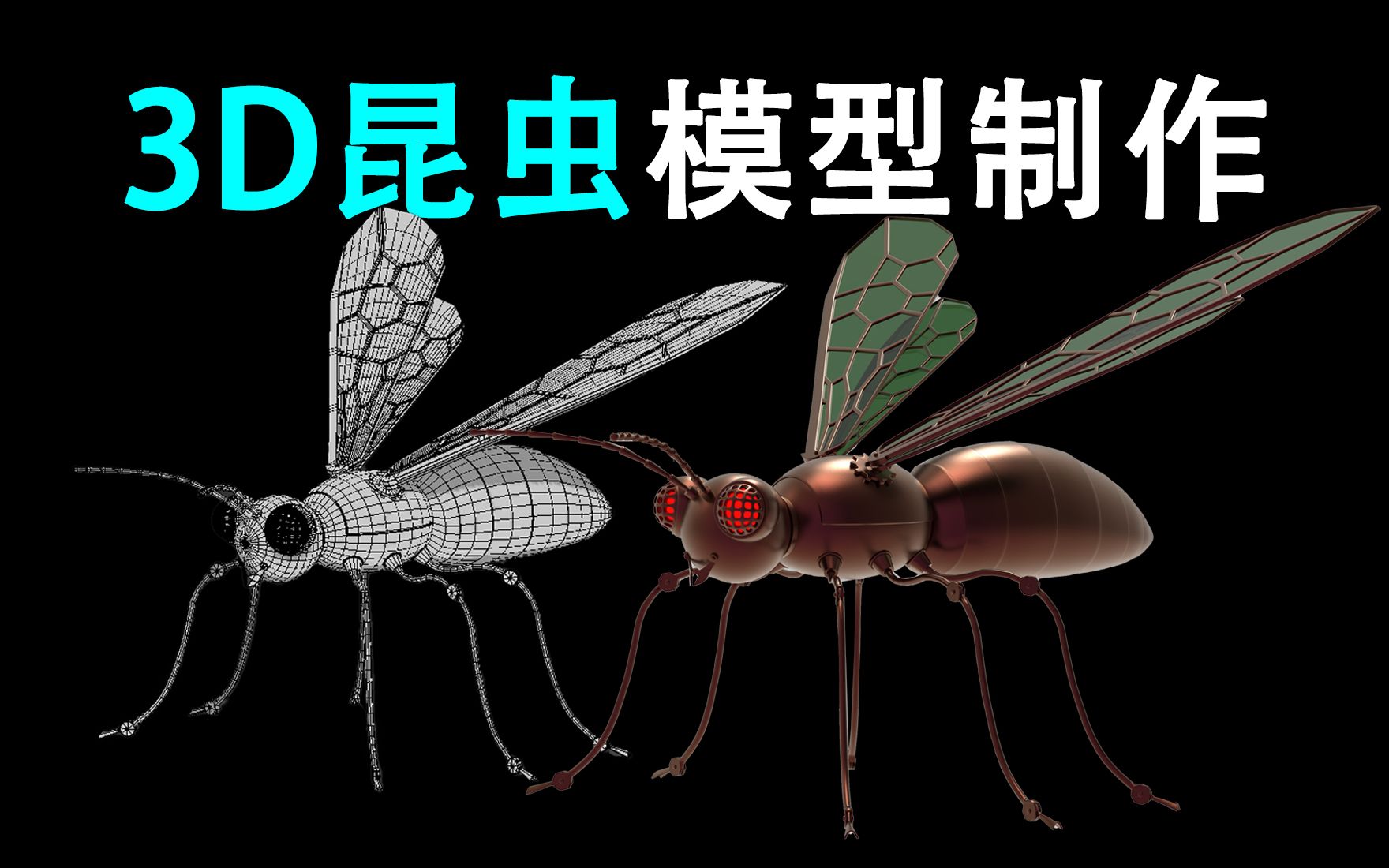 昆虫模型制作方法科学图片