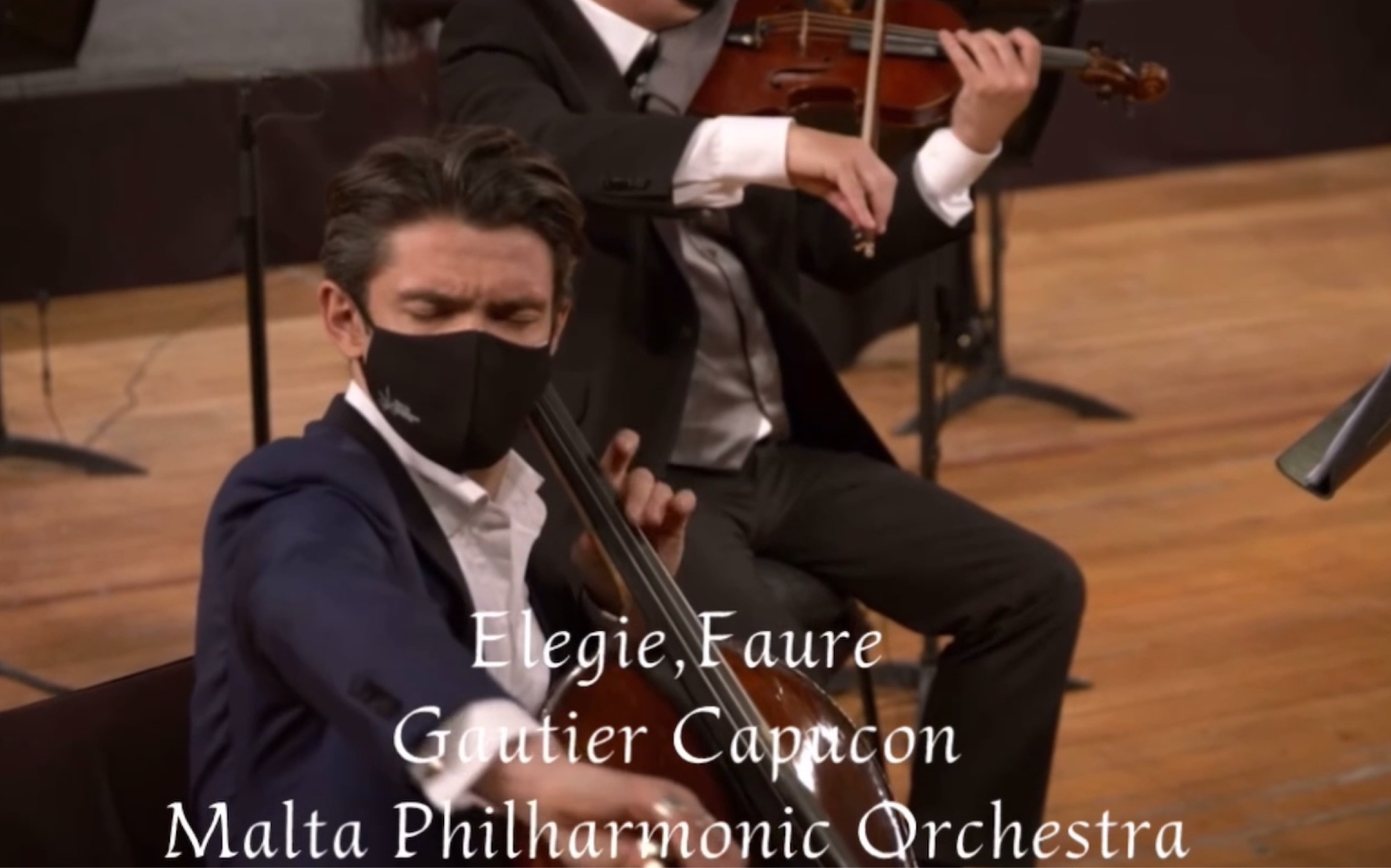 [图]Gautier Capucon/福雷 《悲歌》