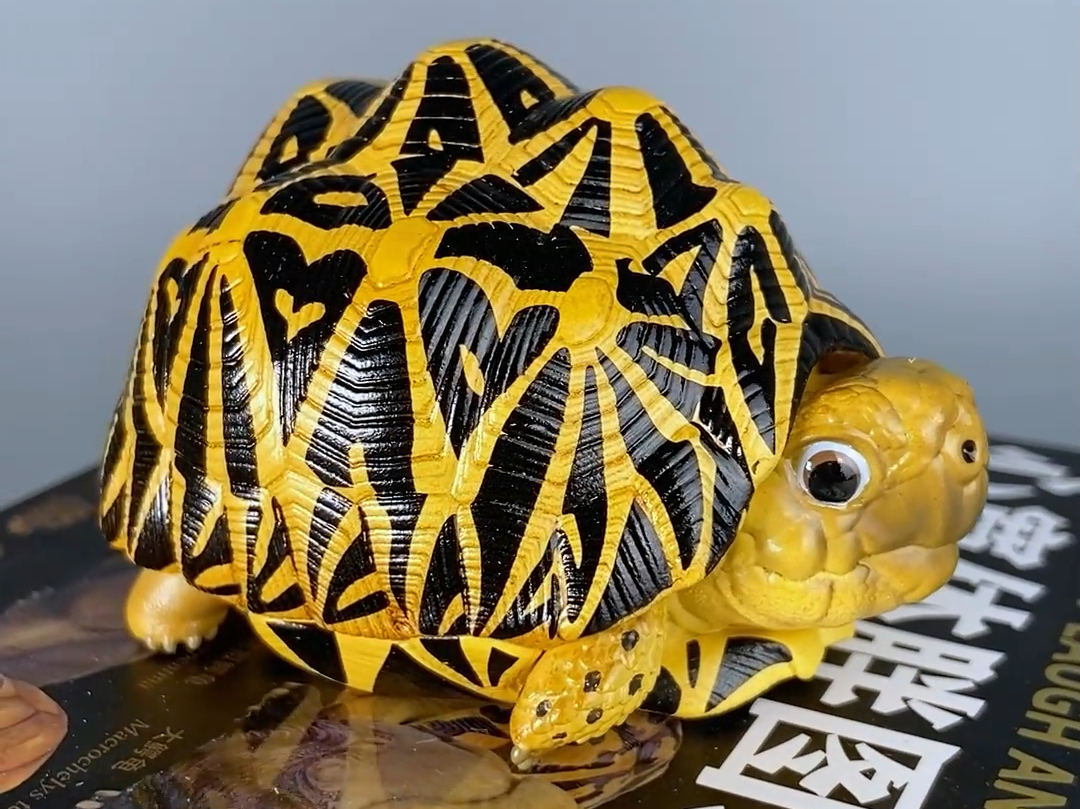 【呆头鹅模玩】动物星云动物星球心宽体胖龟模型