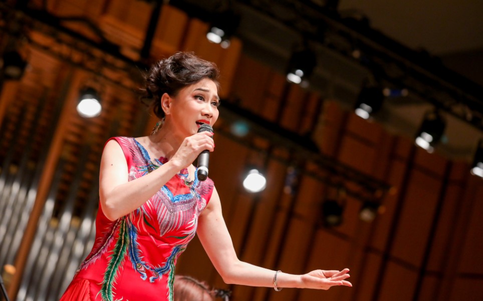 越剧《王熙凤大闹宁国府》陈晓红老师