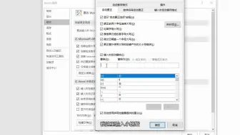 WORD中自动更正的使用