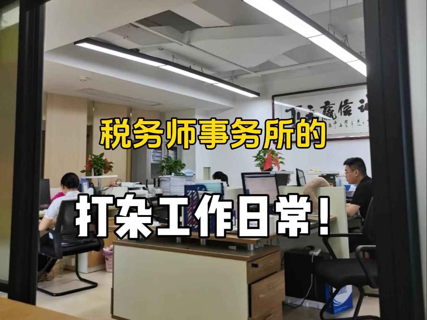 吐槽在税务师事务所的打杂工作,干税务还是老老实实考证吧哔哩哔哩bilibili