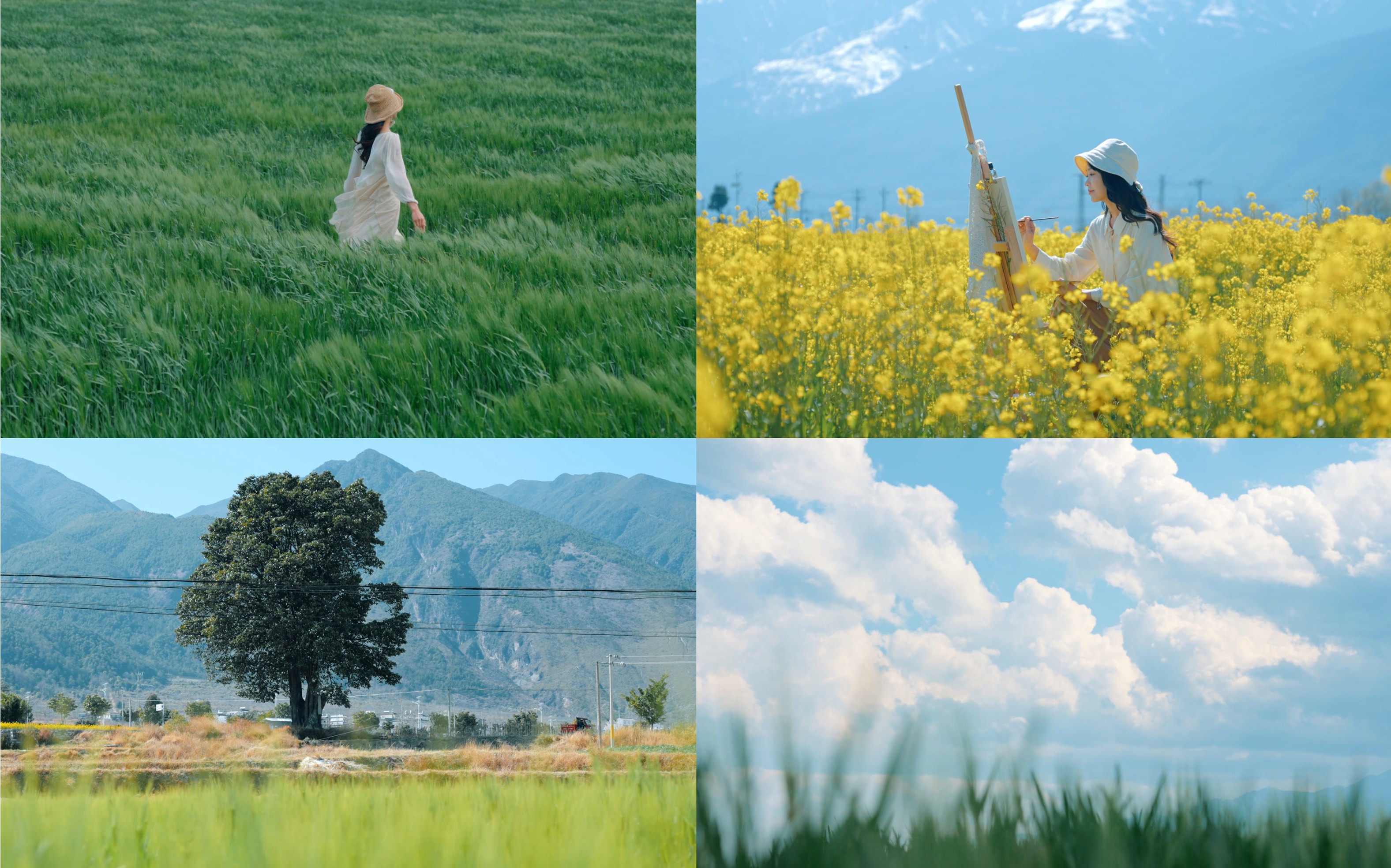 刘亦菲《去有风的地方》取景地,大理田园治愈系风景哔哩哔哩bilibili