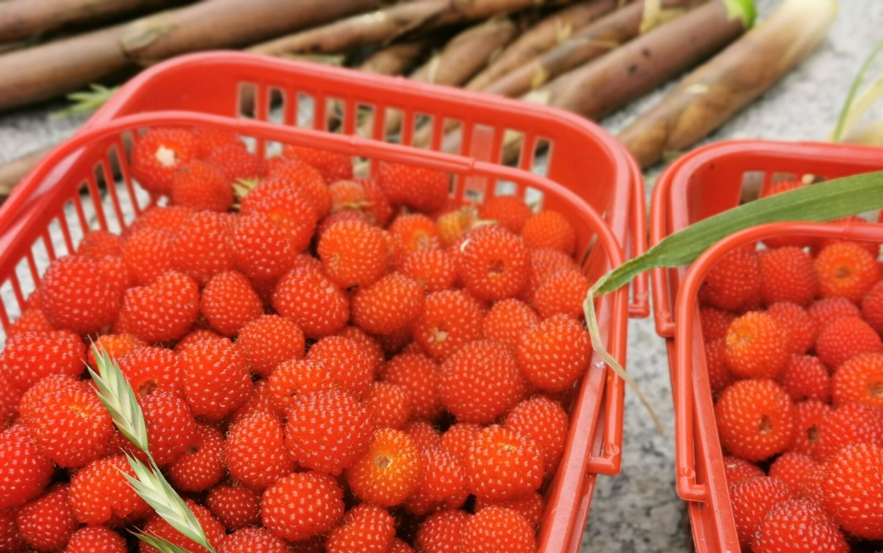 [覆盆子]好看就是好果子,劳动节就是吃