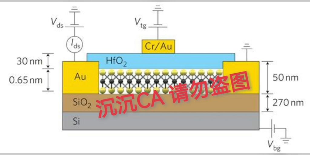 COMSOL半导体背栅调控MOS2FET(单层和多层MoS2场效应晶体管的高效通用建模).欢迎交流讨论!哔哩哔哩bilibili