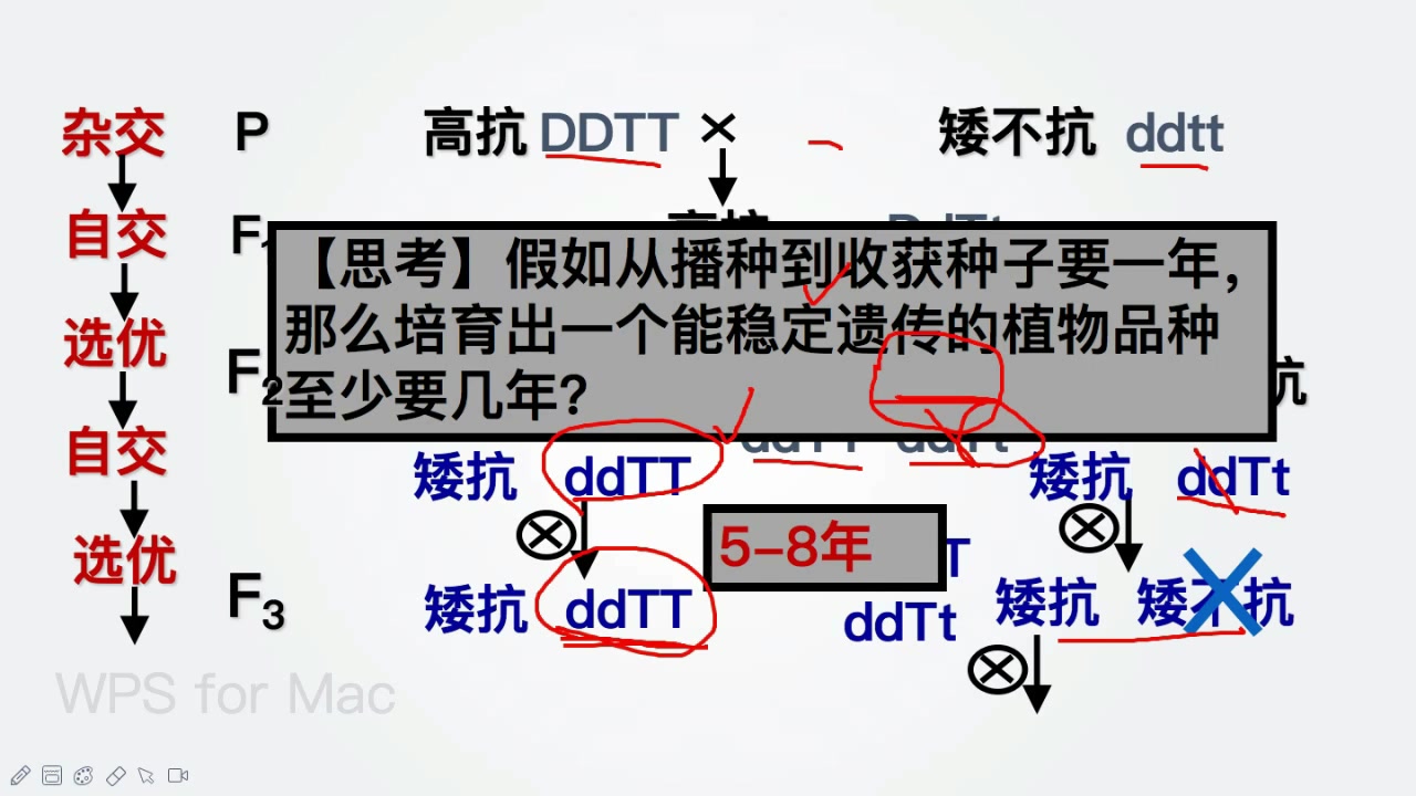 第六章第一节杂交育种与诱变育种哔哩哔哩bilibili