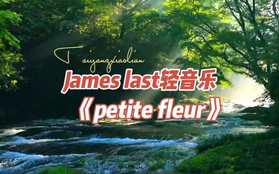 [图]欧美经典音乐《petite fleur》，选自詹姆斯拉斯特乐队专辑，电子琴音乐