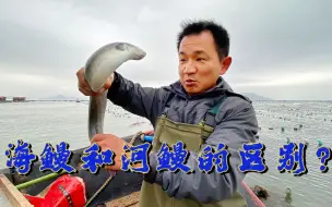 Download Video: 怎样区分河鳗和海鳗？龙哥海上说出真相，用鸭毛捕捞昂贵的鳗鱼苗