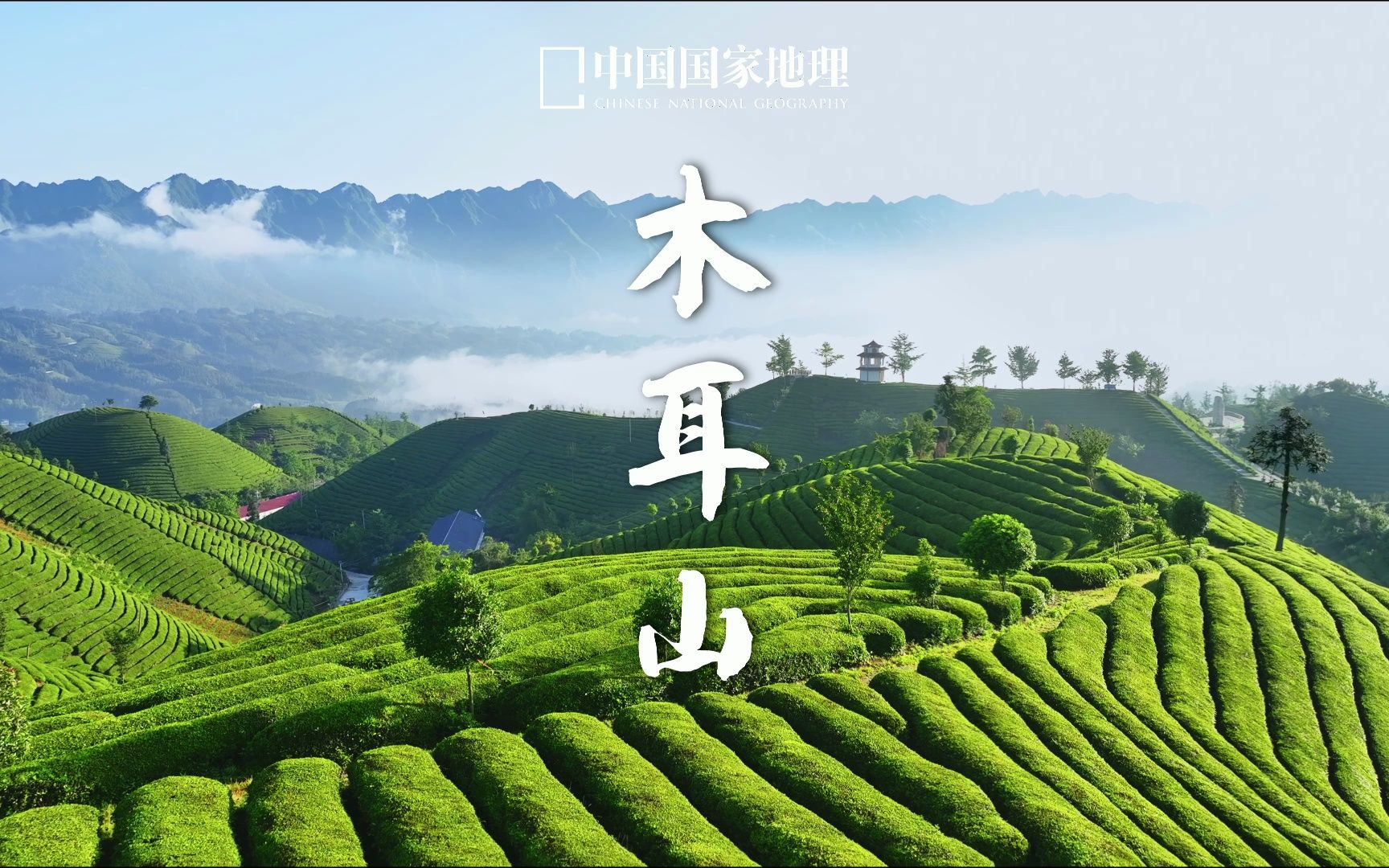 木耳山|万里茶道茶源地哔哩哔哩bilibili