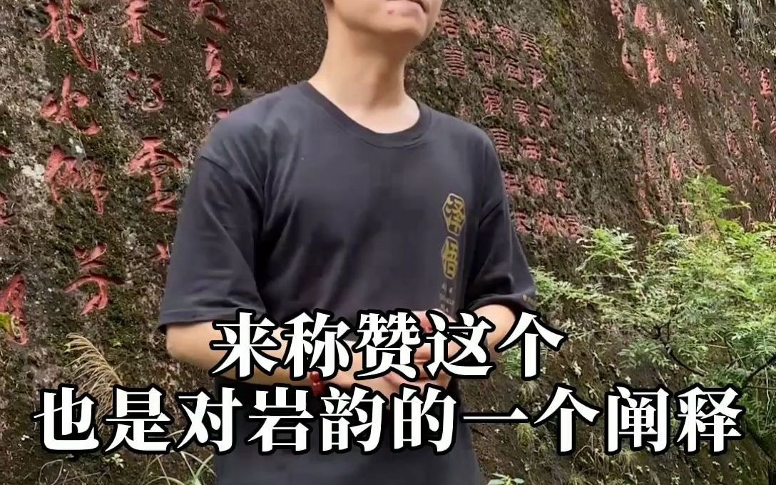 [图]跟着阿泽走茶山之九龙窠