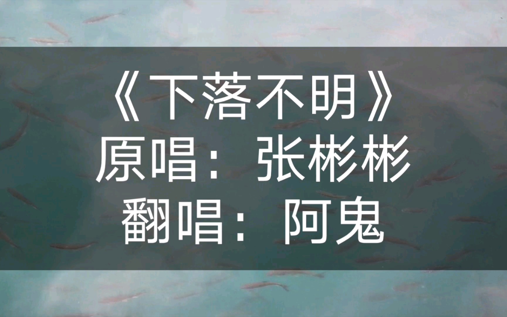司藤插曲《下落不明》张彬彬原唱【阿鬼练歌房】