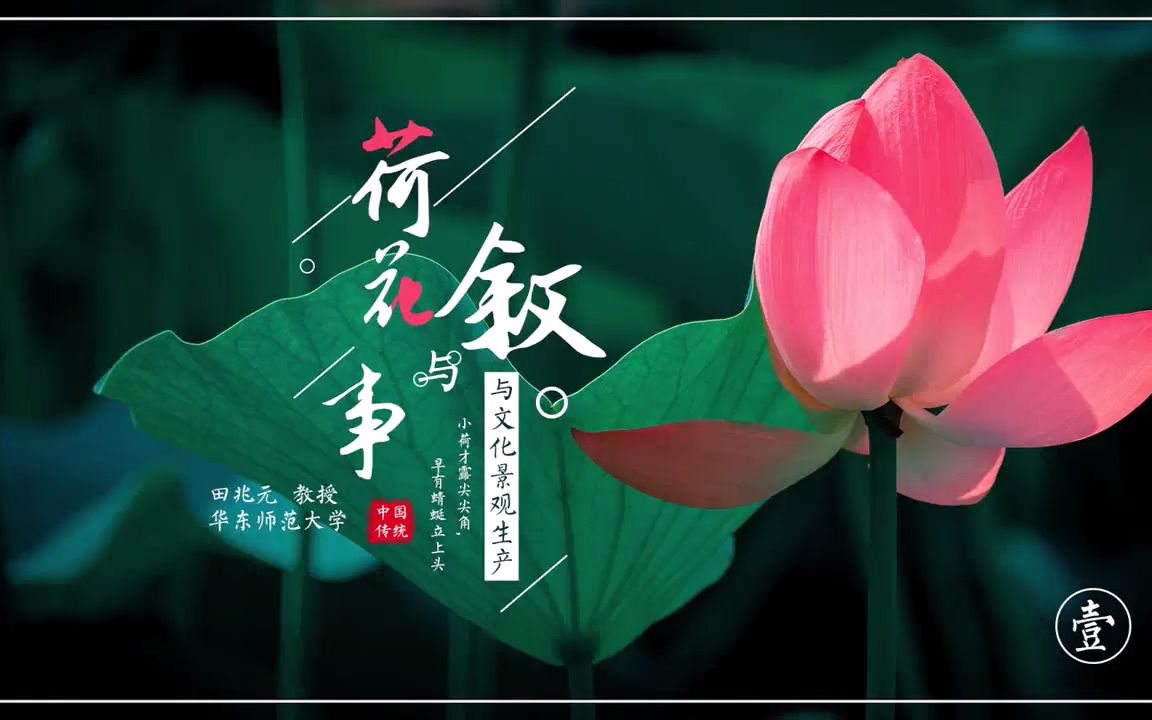 [图]【艺术学】荷花叙事与文化景观生产（田兆元/华东师范大学）+（无字幕）