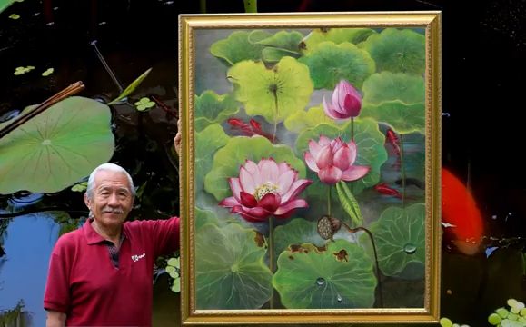 荷花池塘残藕荷叶水滴锦鲤 