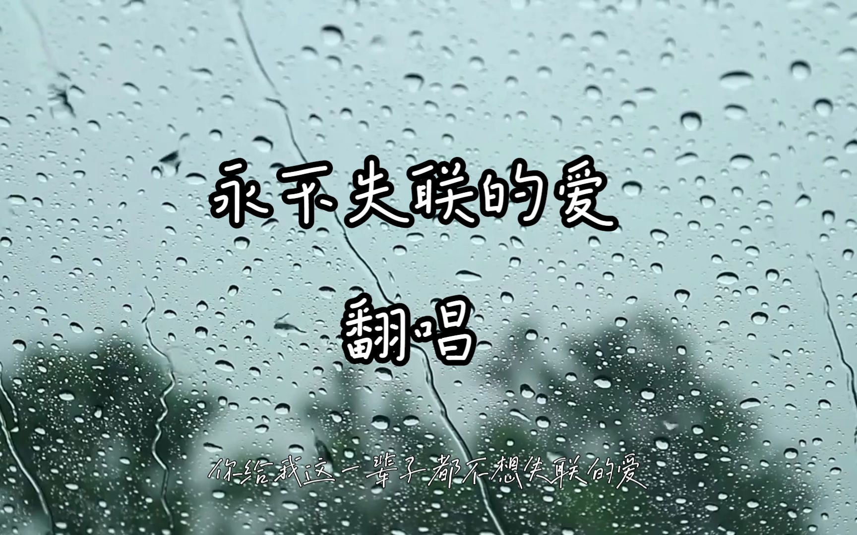  ck ck 