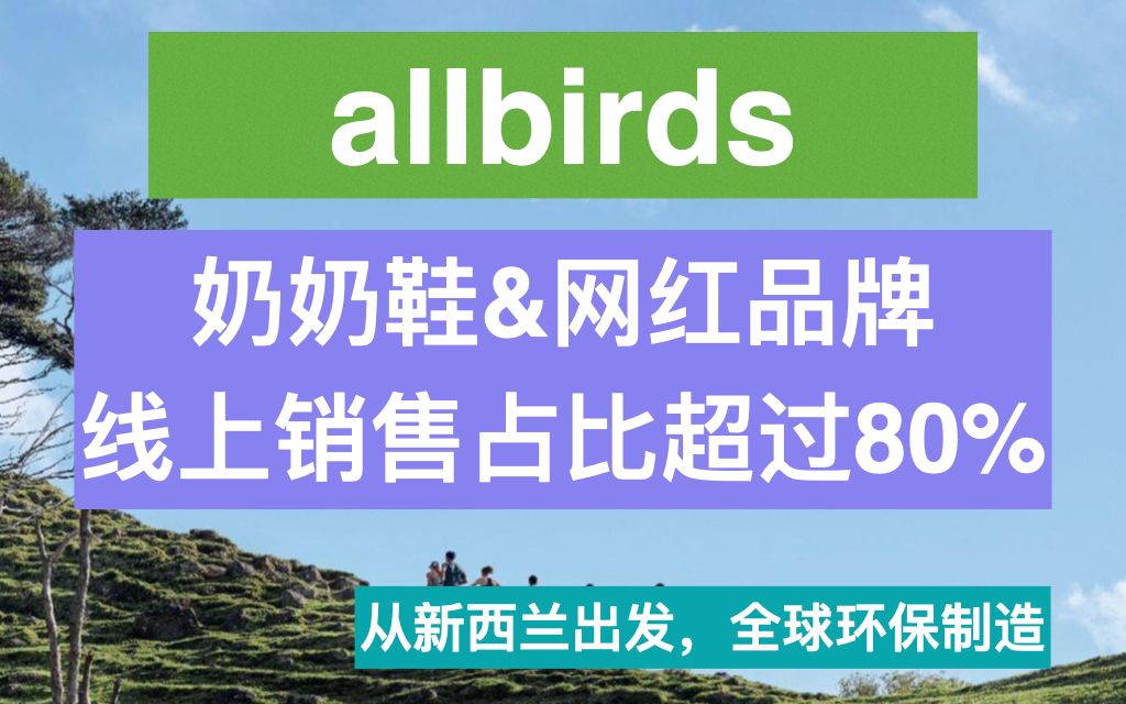 allbirds环保服饰の线上营销王者毛利率也超50%哔哩哔哩bilibili