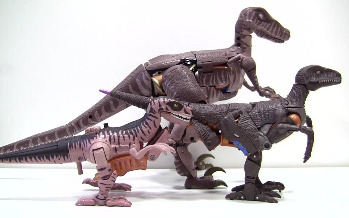 急速搬运变形金刚王国kingdom恐龙勇士dinobot