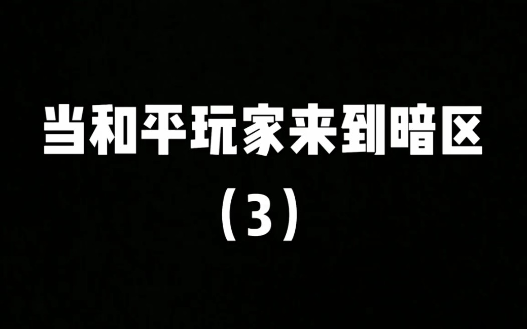 当和平玩家来到暗区网络游戏热门视频