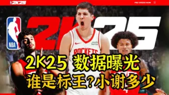 Download Video: 【丁丁侃球】火箭2K25能力值标王居然是他，谢泼德多少？