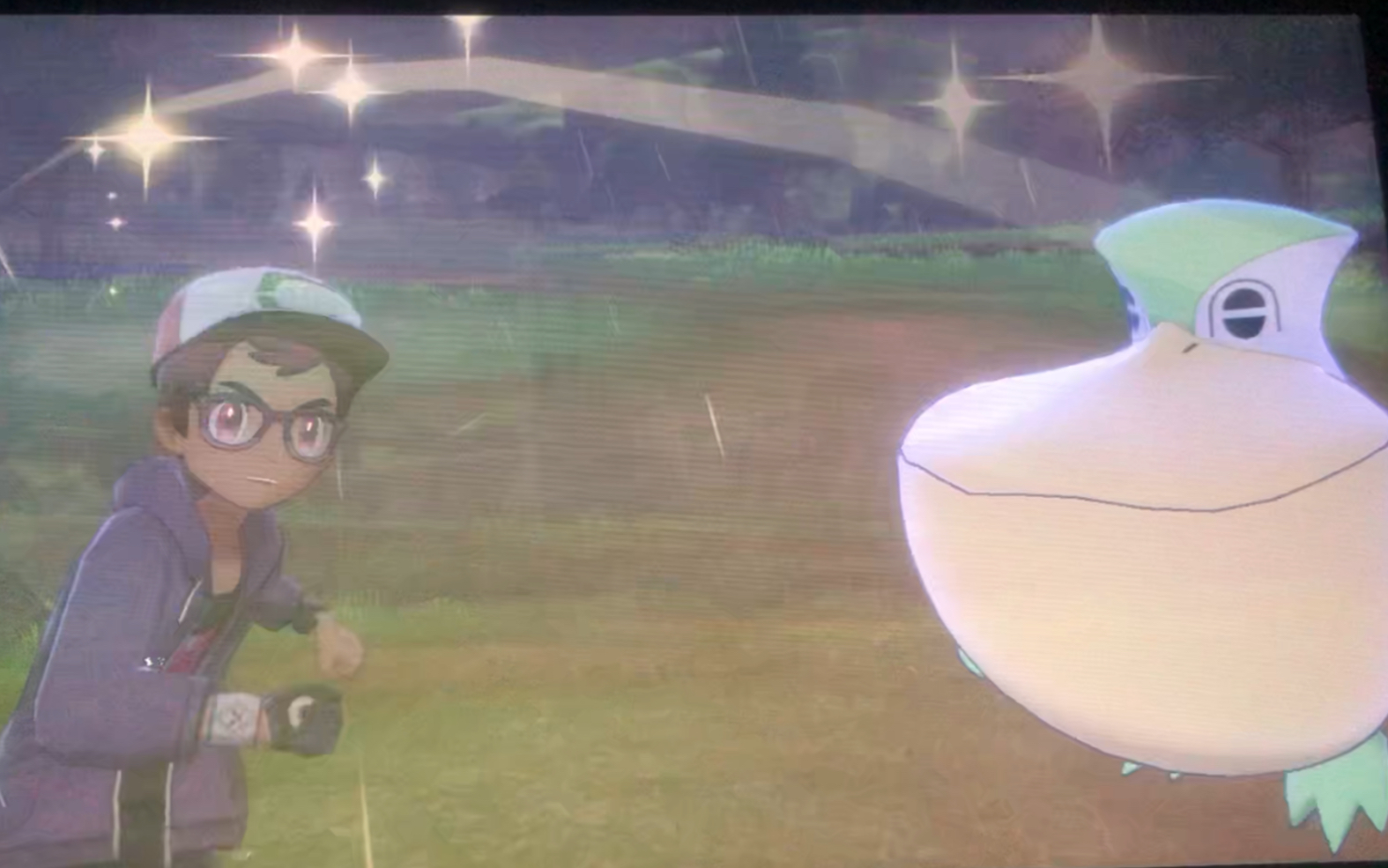 宝可梦剑盾 闪光 大嘴鸥