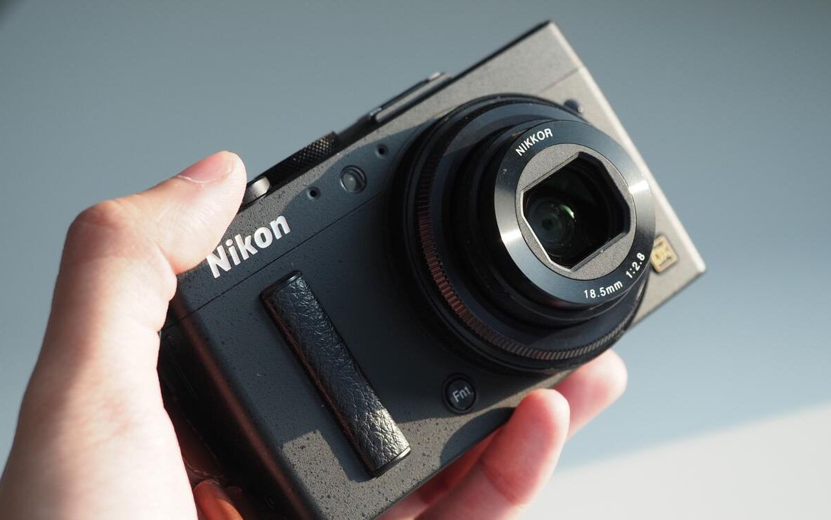 唯一的尼康尼康coolpixa菲林视界