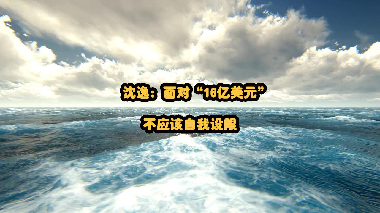 沈逸:面对“16亿美元”,不应该自我设限哔哩哔哩bilibili