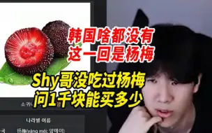 Shy哥未曾吃过杨梅，问1千块能买多少，宁吐槽韩国啥都没有