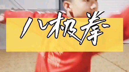 【罗疃系张门八极拳】八极拳演练视频哔哩哔哩bilibili