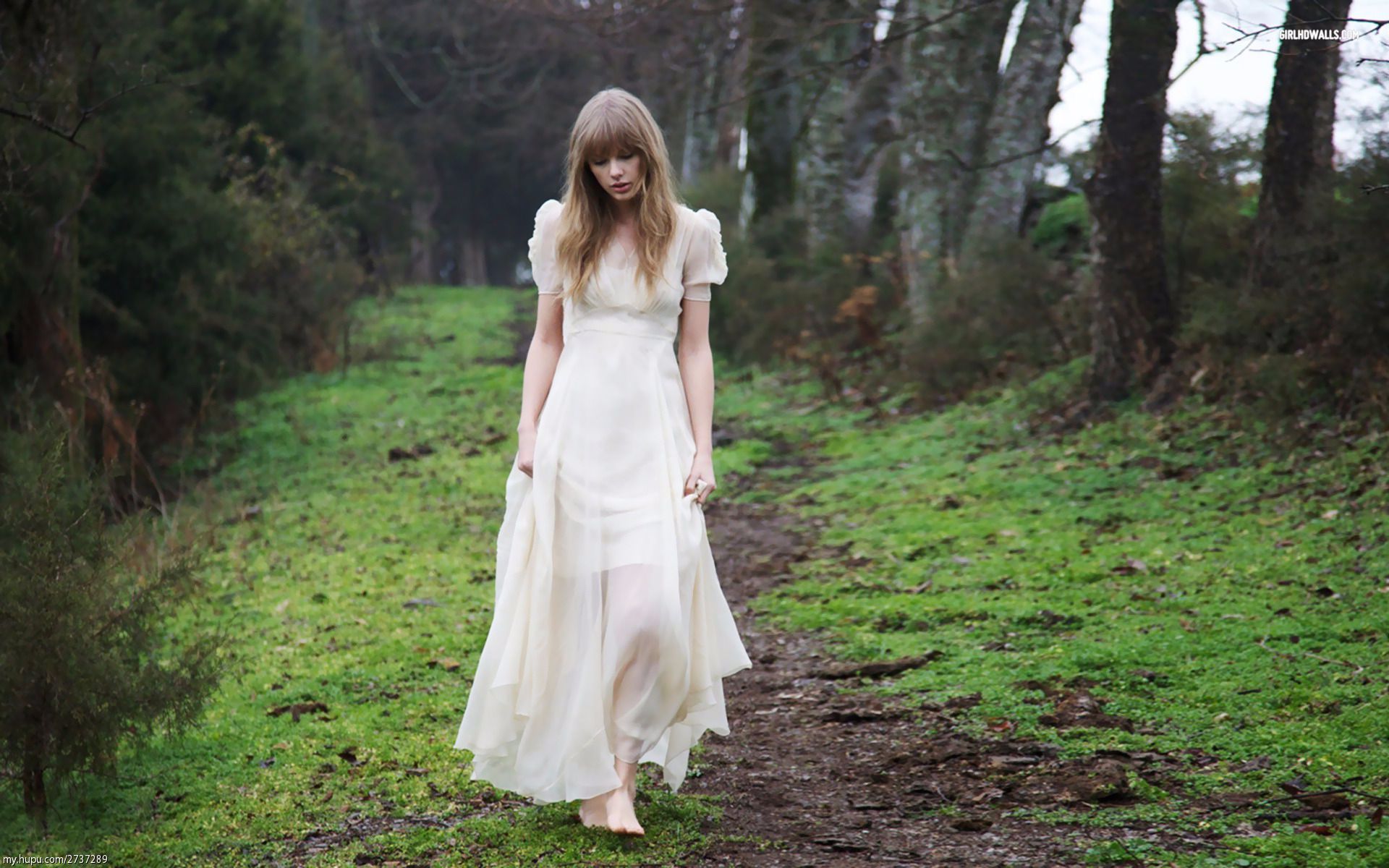 taylorswift霉霉的歌你能猜出几首