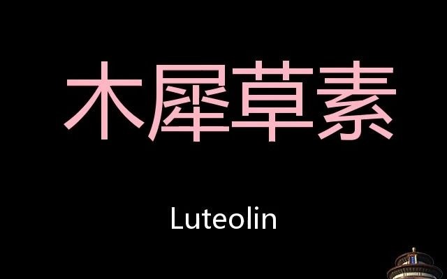 木犀草素 Chinese Pronunciation Luteolin哔哩哔哩bilibili