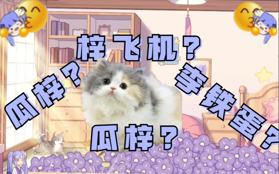 【阿梓】妹妹起名记!哔哩哔哩bilibili